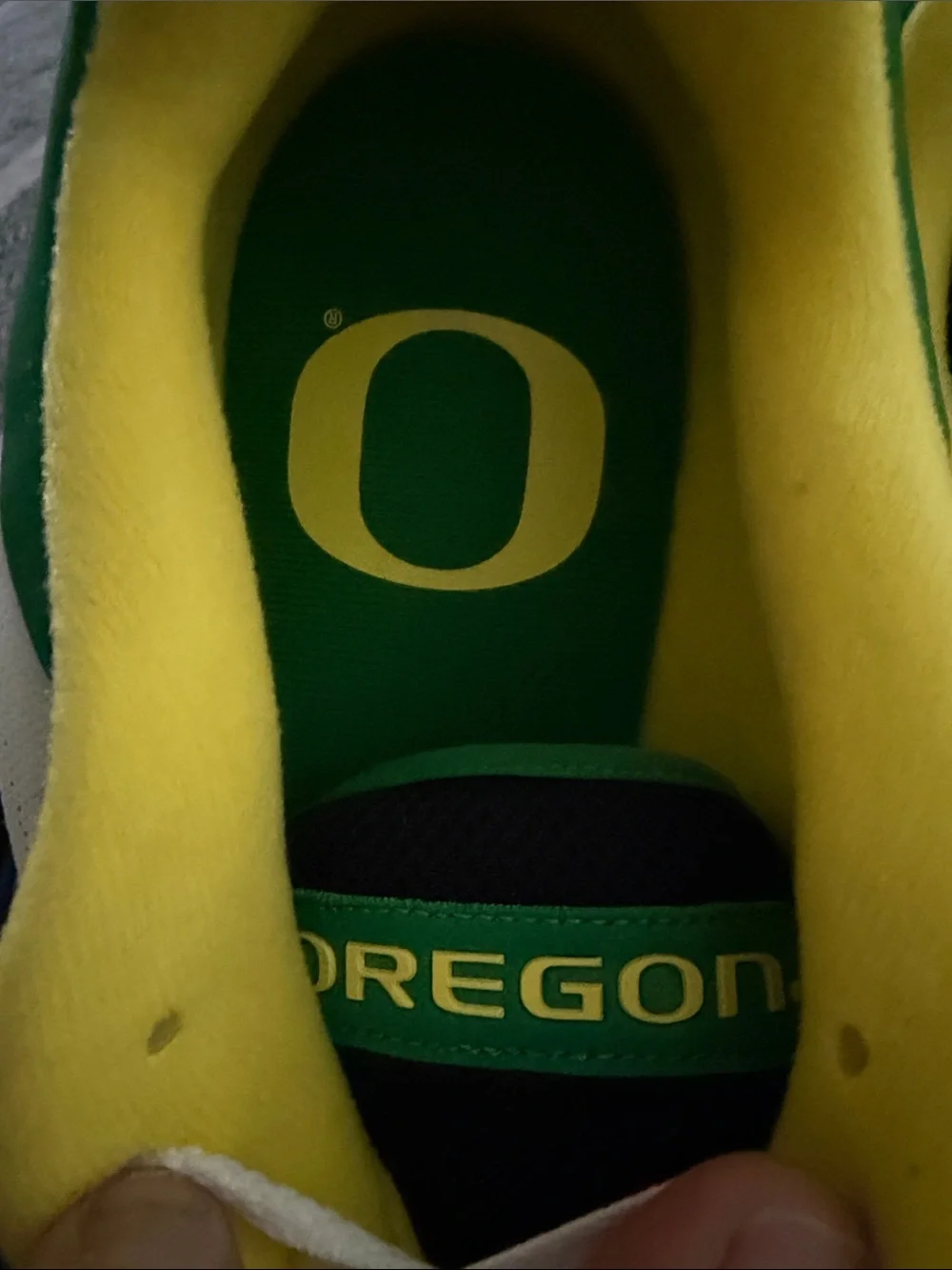 Nike Oregon Ducks Green, Yellow & White Athletic Sneakers